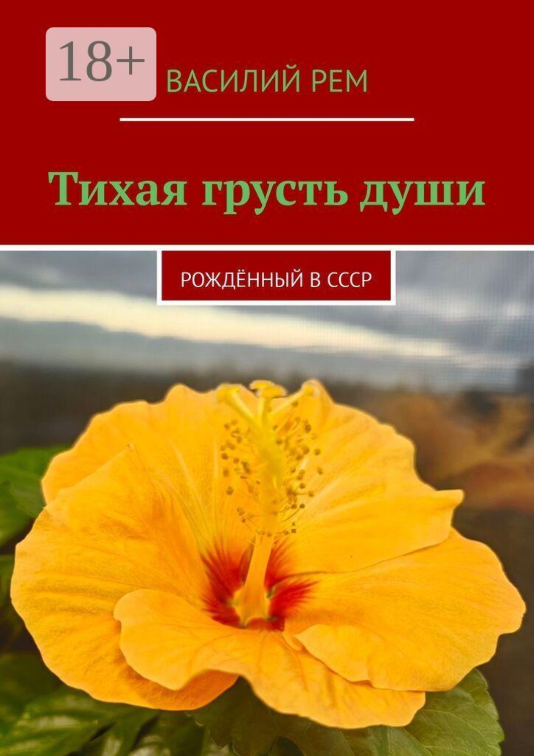 Обложка книги «Тихая грусть души. Рождённый в СССР»