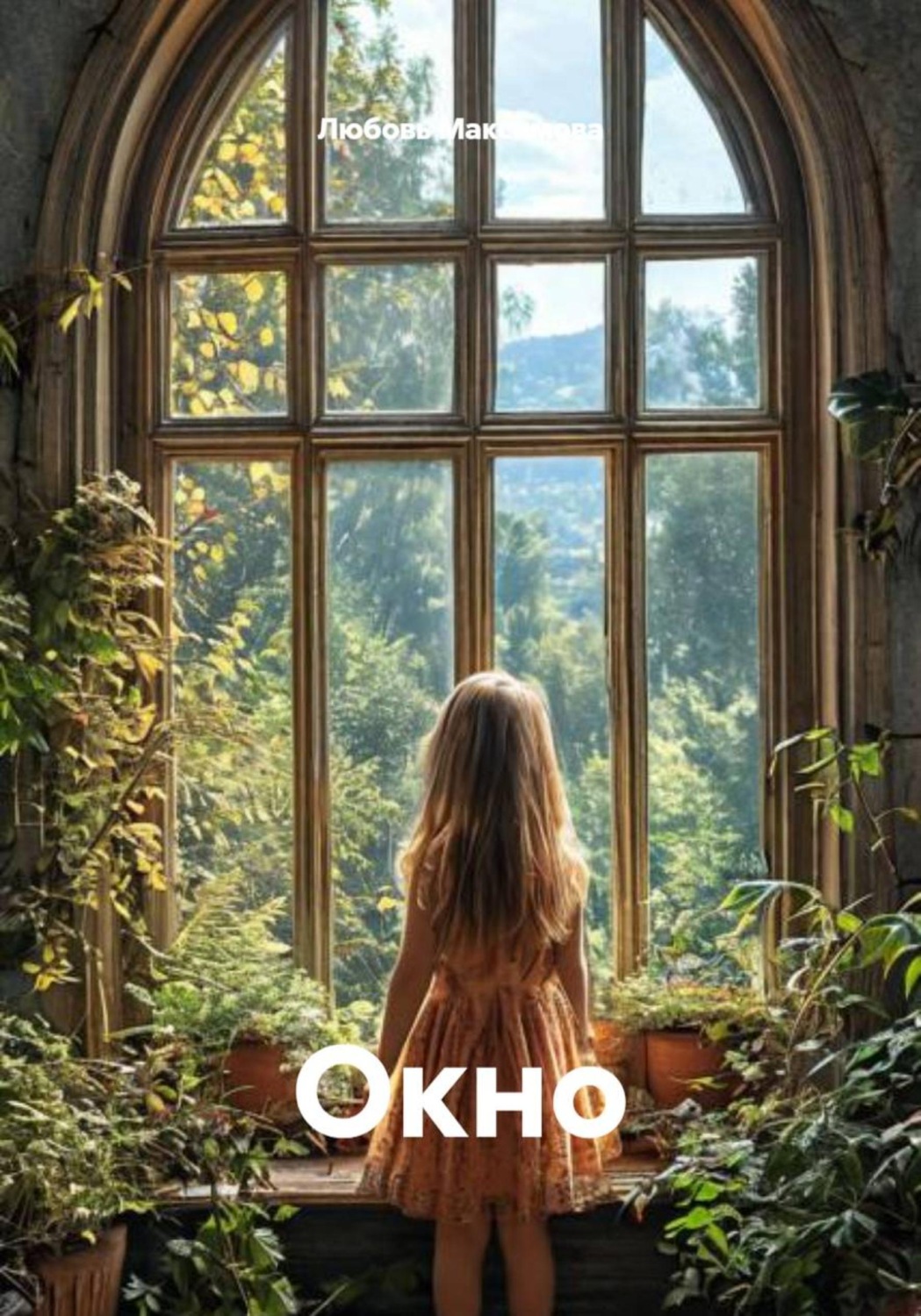 Обложка книги «Окно»