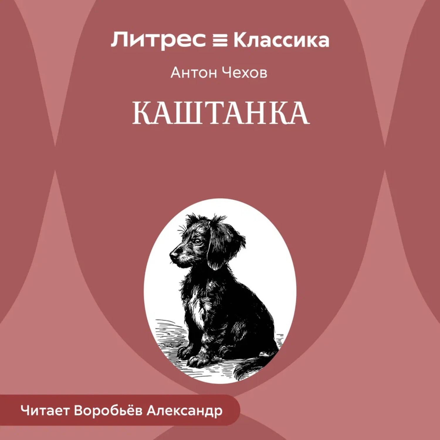 Обложка книги «Каштанка»