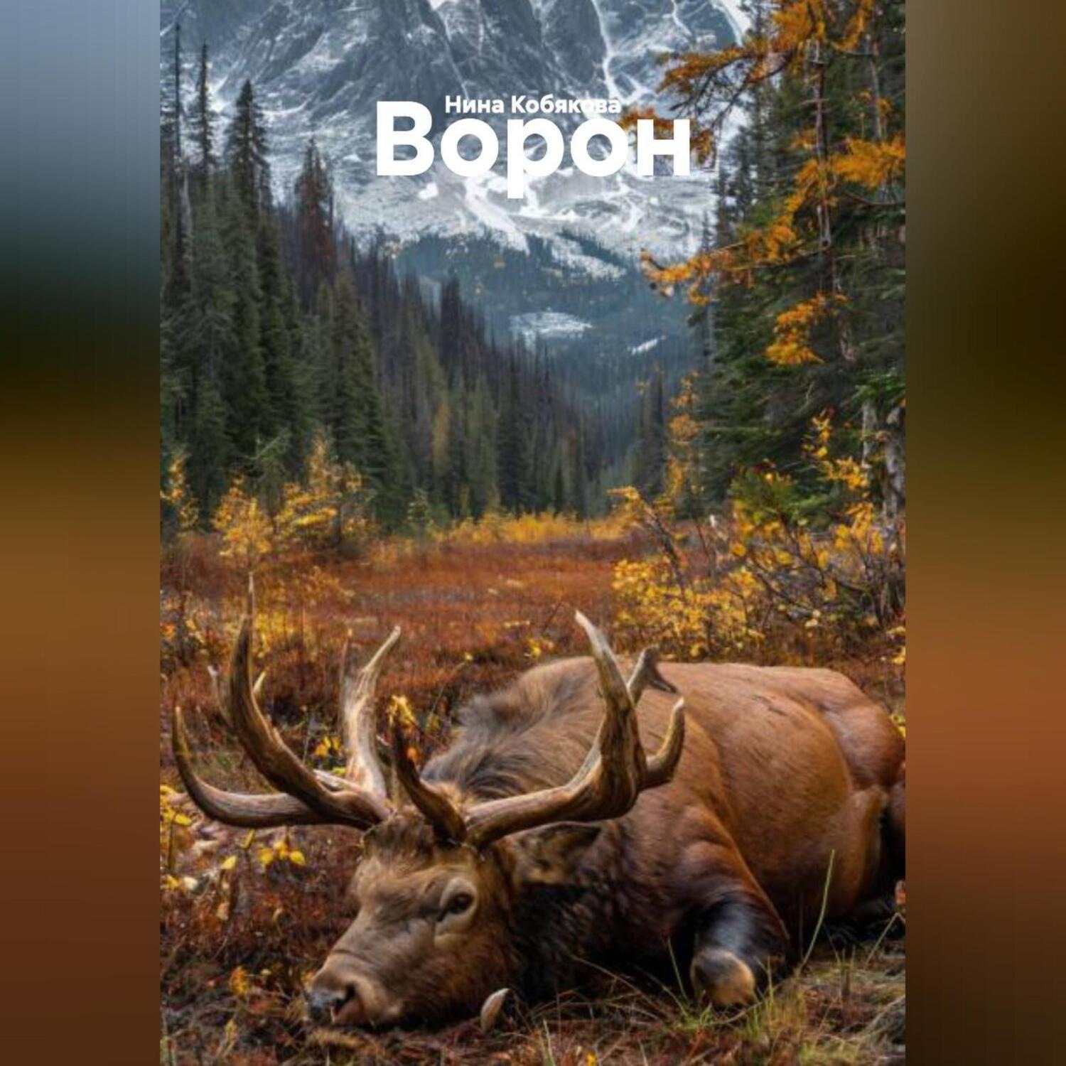 Обложка книги «ВОРОН»