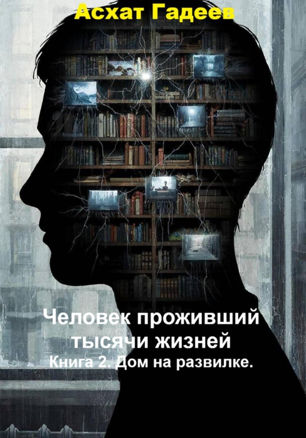 Обложка книги «Человек проживший тысячи жизней. Книга 2. Дом на развилке»