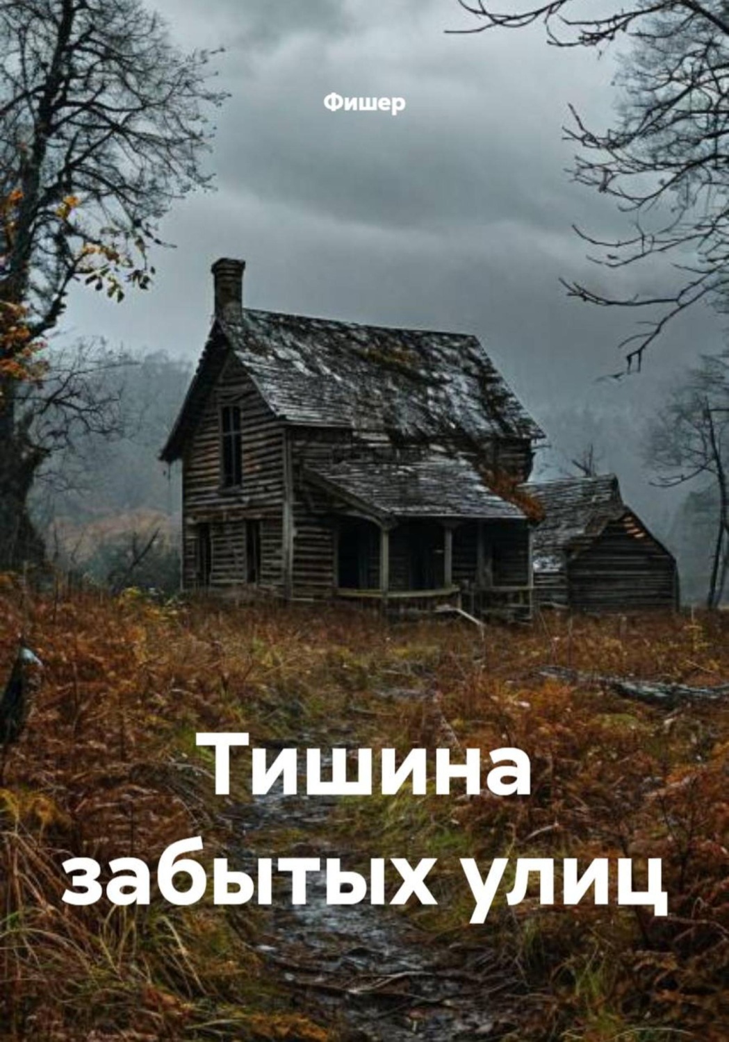 Обложка книги «Тишина забытых улиц»