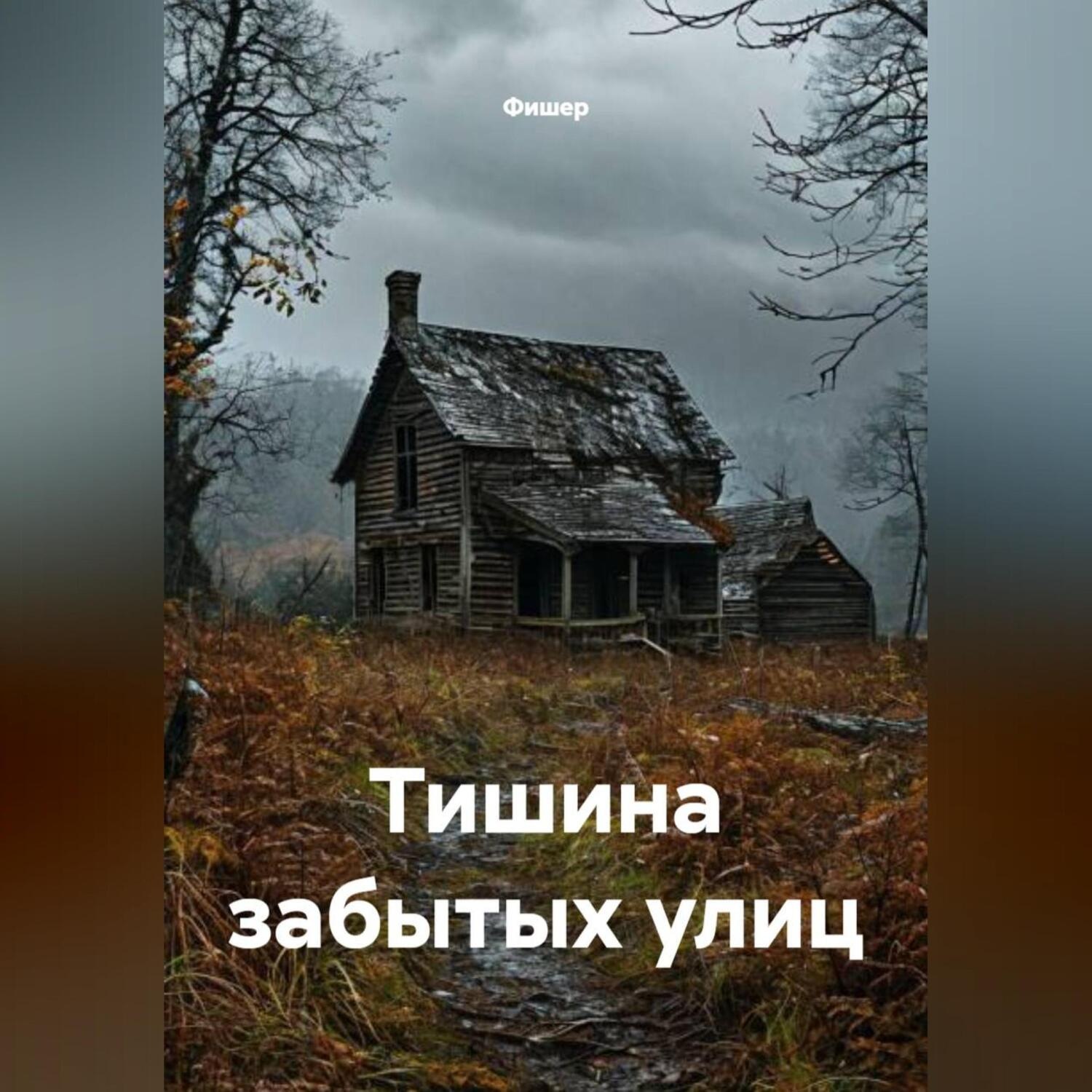 Обложка книги «Тишина забытых улиц»