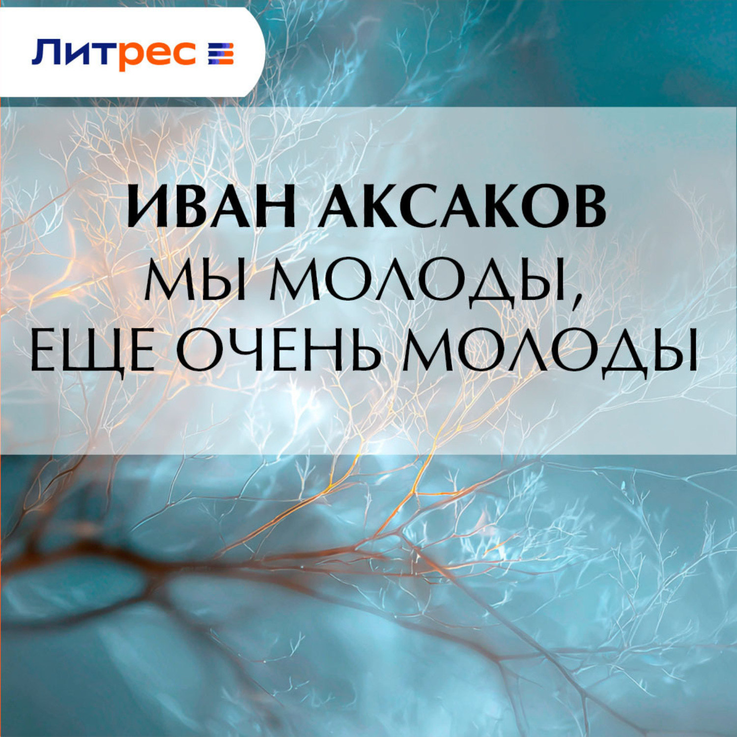 Обложка книги «Мы молоды, еще очень молоды»