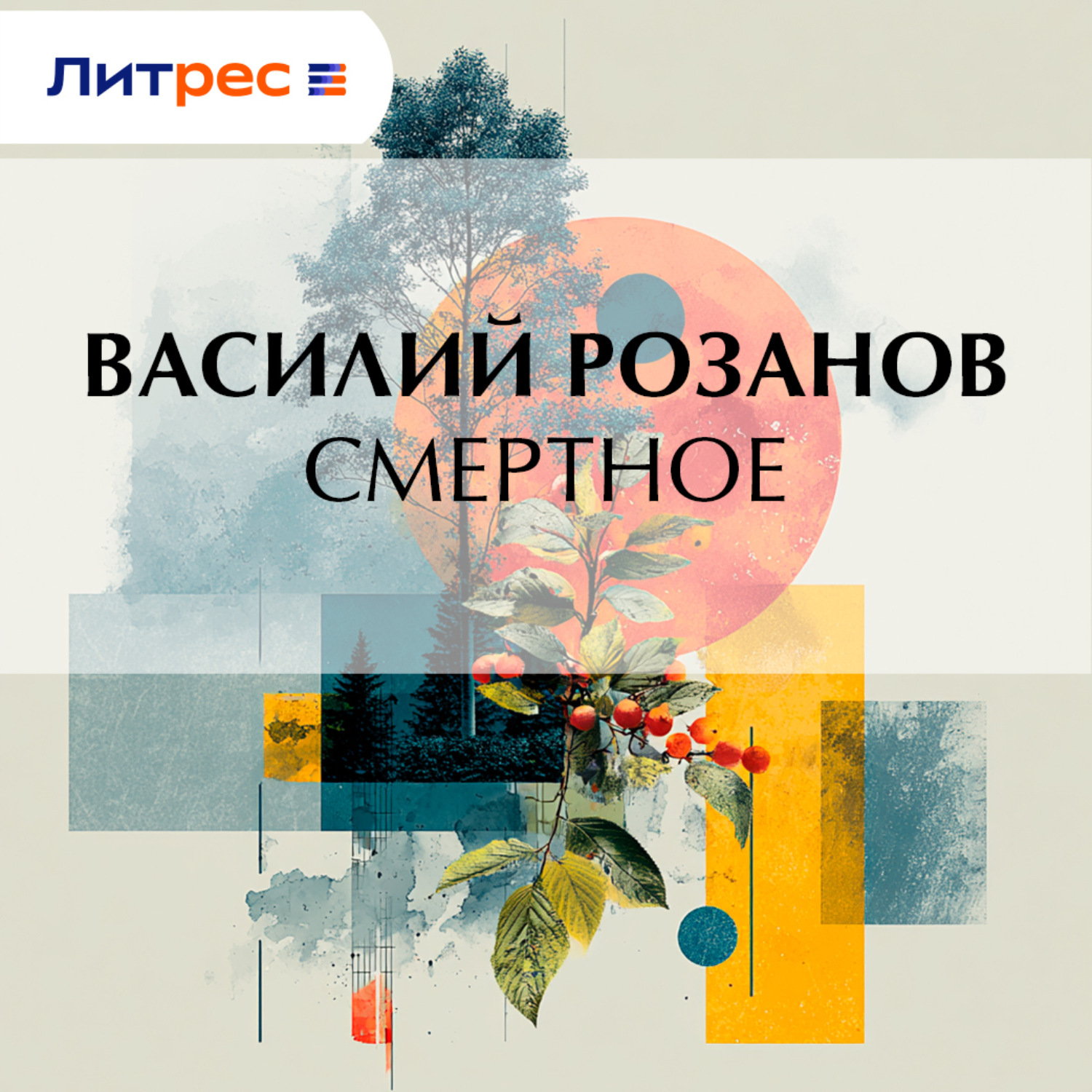 Обложка книги «Смертное»