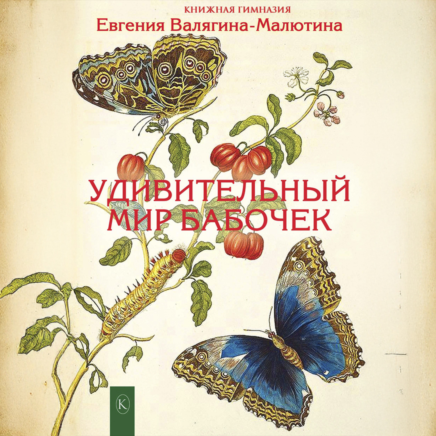 Обложка книги «Удивительный мир бабочек»