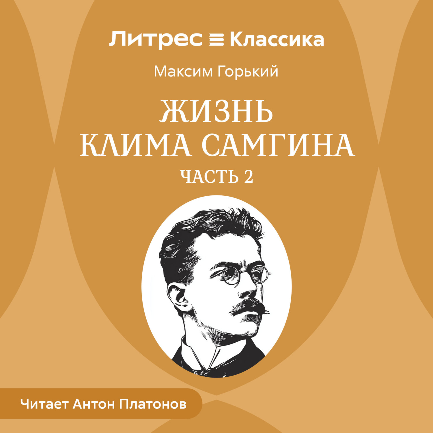 Обложка книги «Жизнь Клима Самгина. Часть 2»