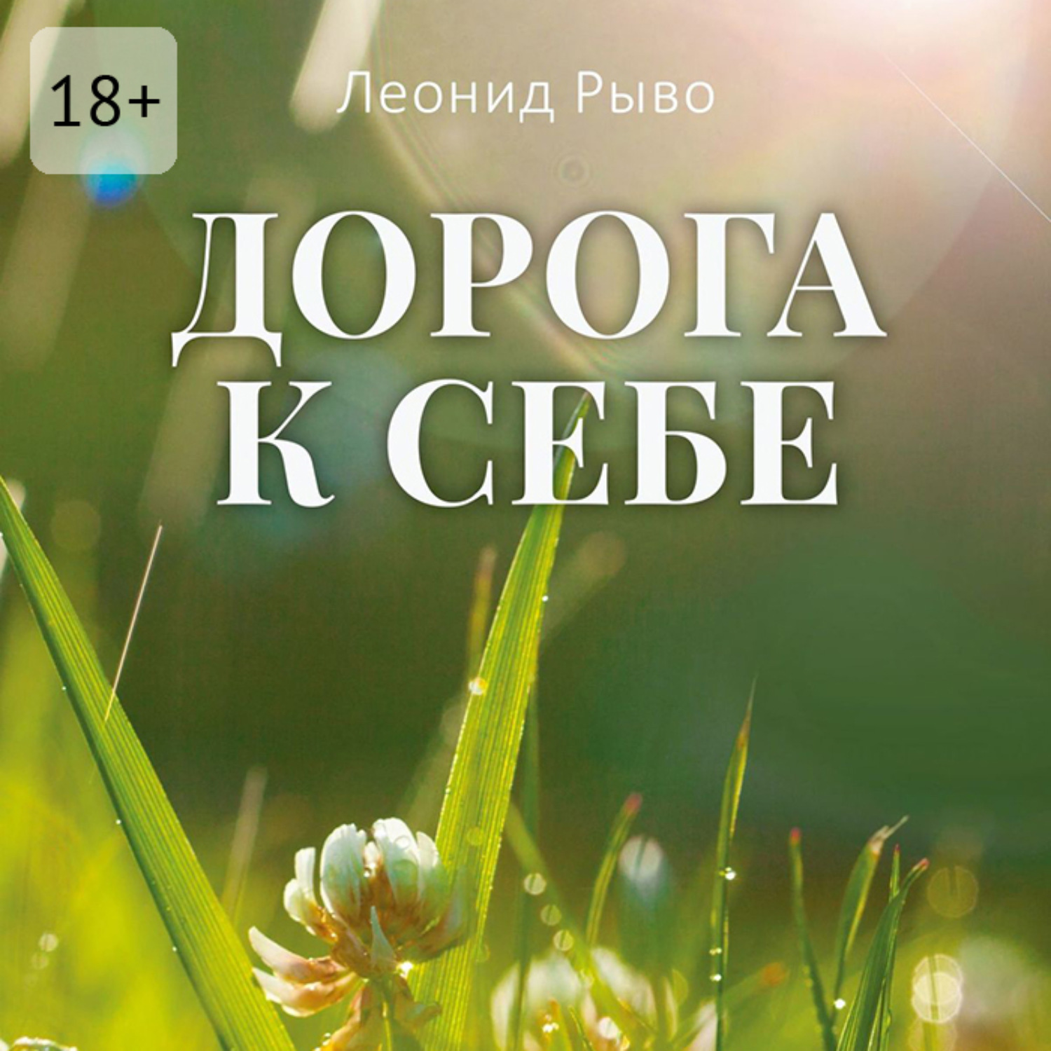 Обложка книги «Дорога к себе»