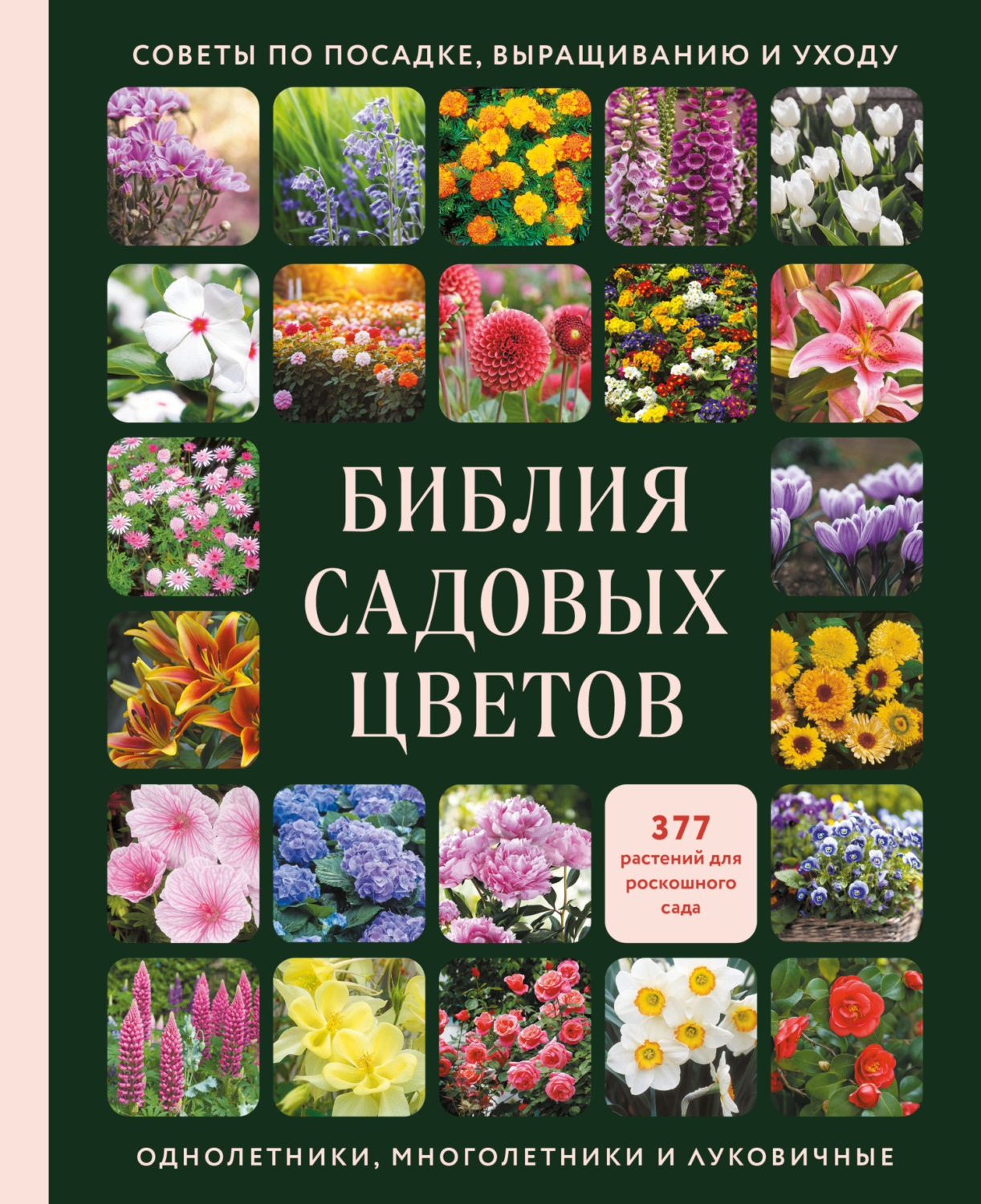 Обложка книги «Библия садовых цветов. Однолетники, многолетники и луковичные. Советы по посадке, выращиванию и уходу»