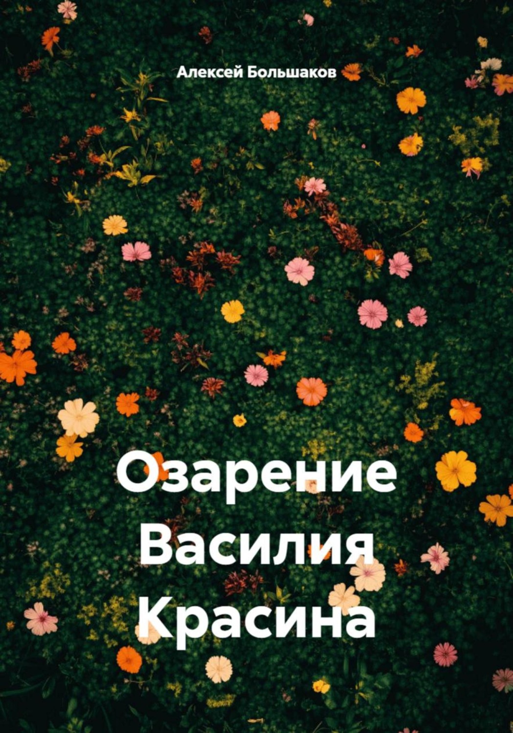 Обложка книги «Озарение Василия Красина»
