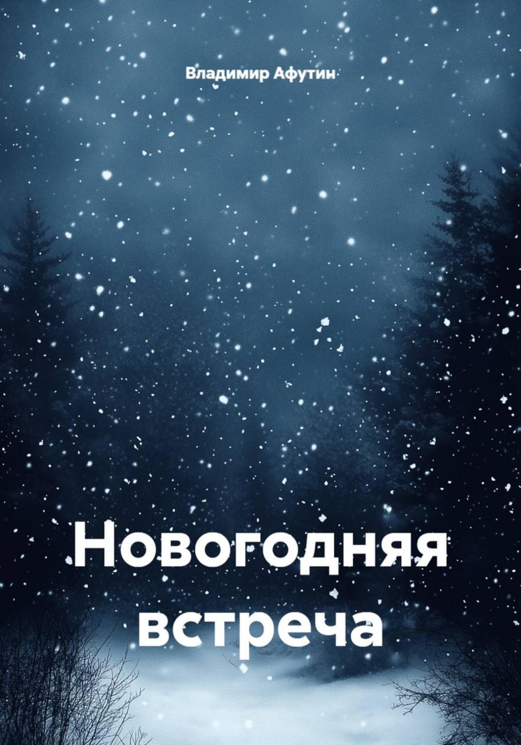Обложка книги «Новогодняя встреча»