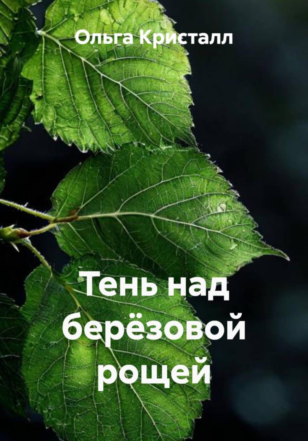 Обложка книги «Тень над берёзовой рощей»