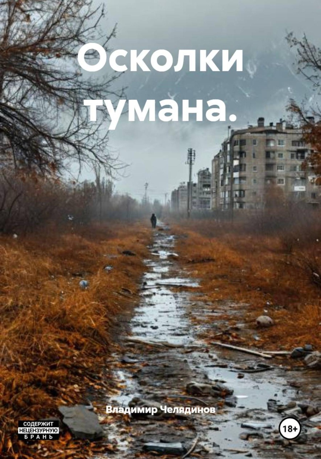 Обложка книги «Осколки тумана»