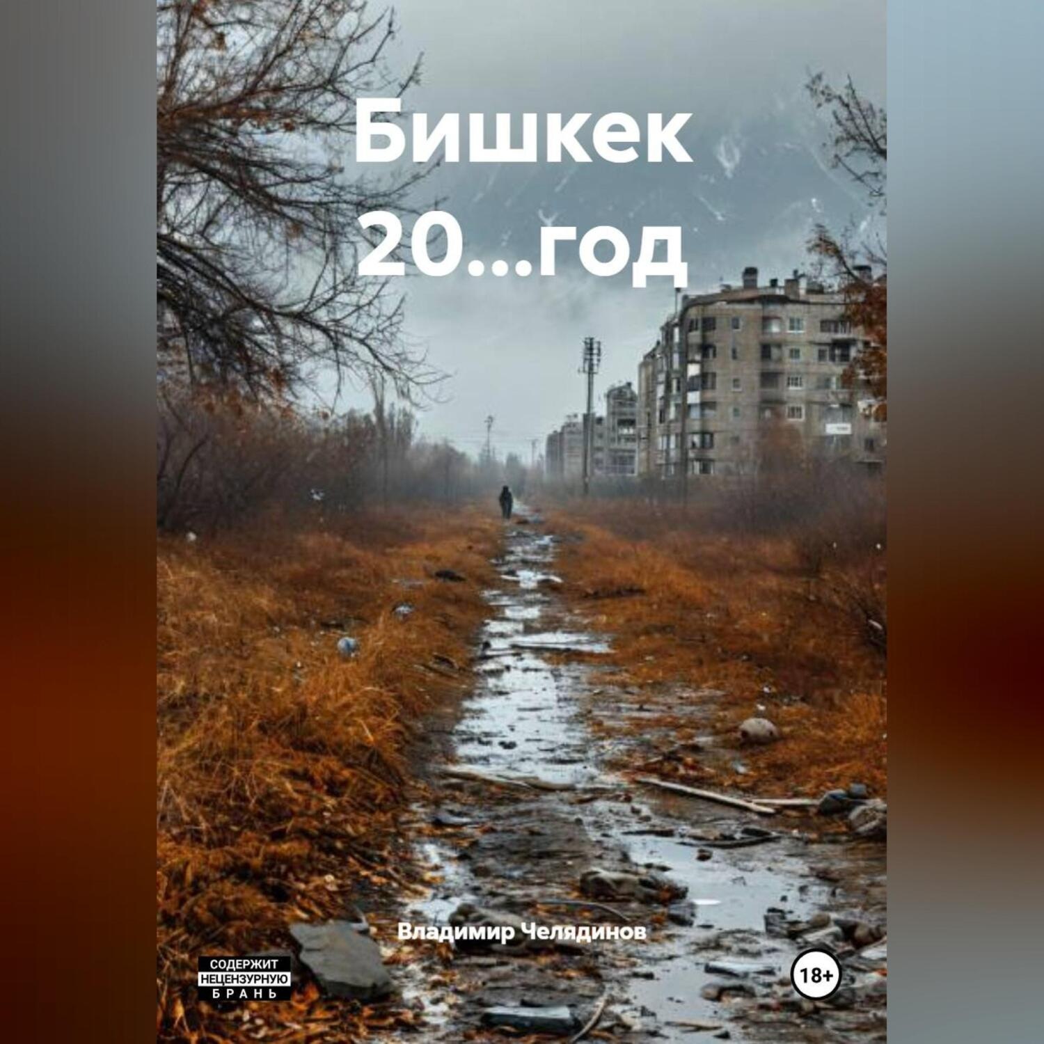 Обложка книги «Бишкек 20…год»