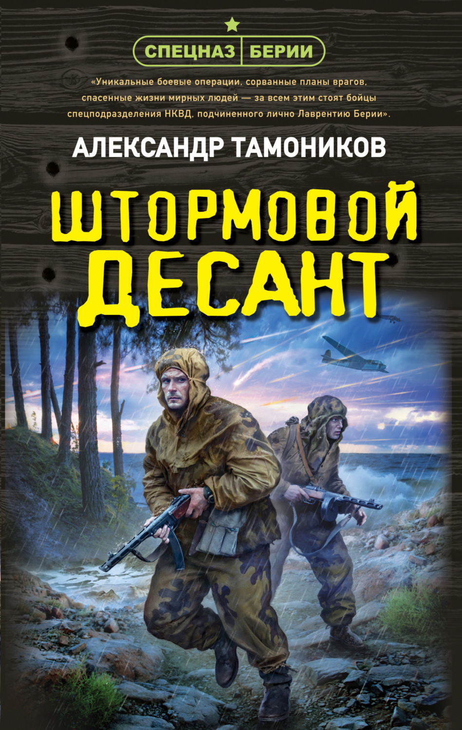 Обложка книги «Штормовой десант»