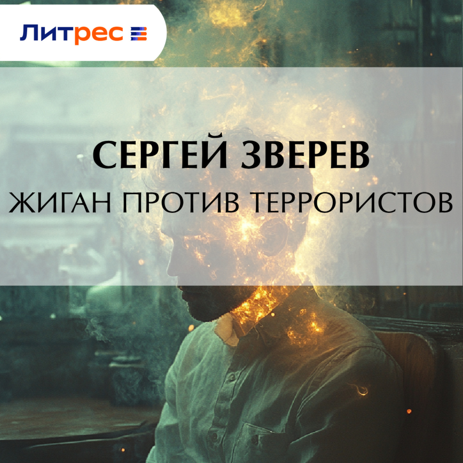 Обложка книги «Жиган против террористов»