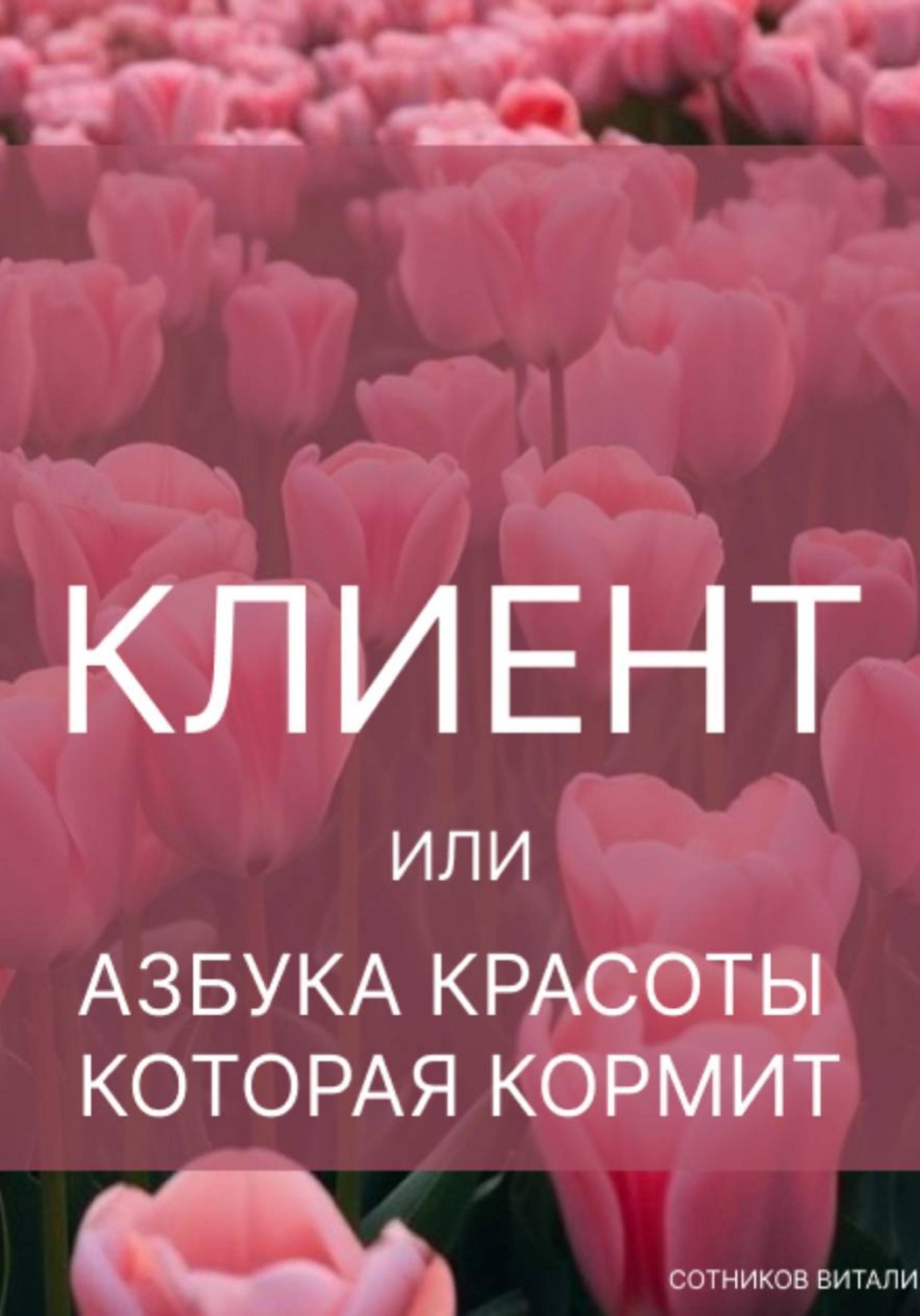 Обложка книги «Клиент, или Азбука красоты, которая кормит»