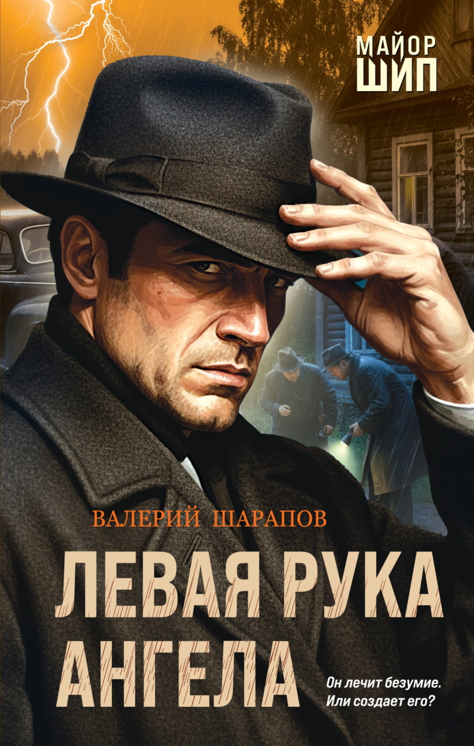 Обложка книги «Левая рука ангела»