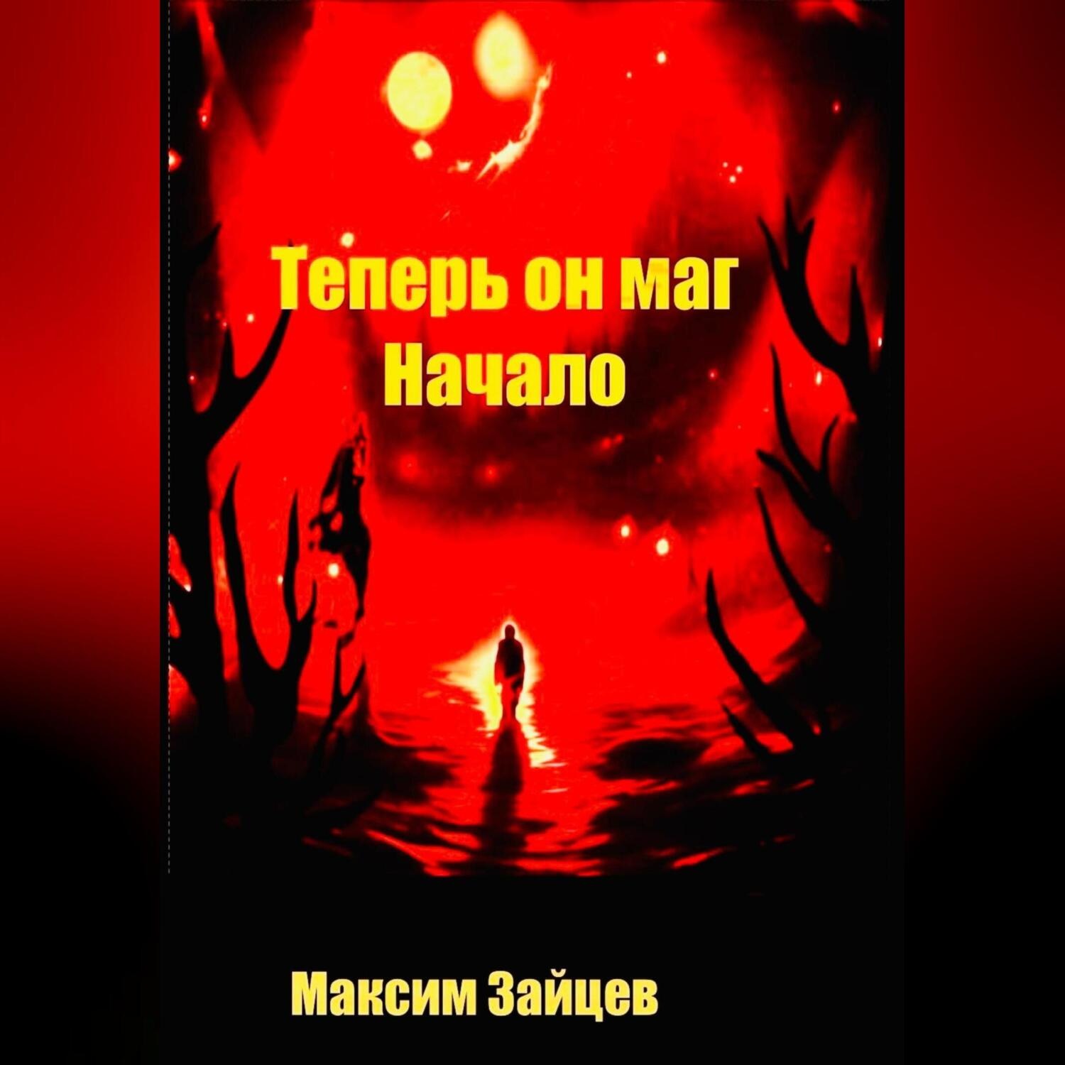 Обложка книги «Теперь он маг. Начало»