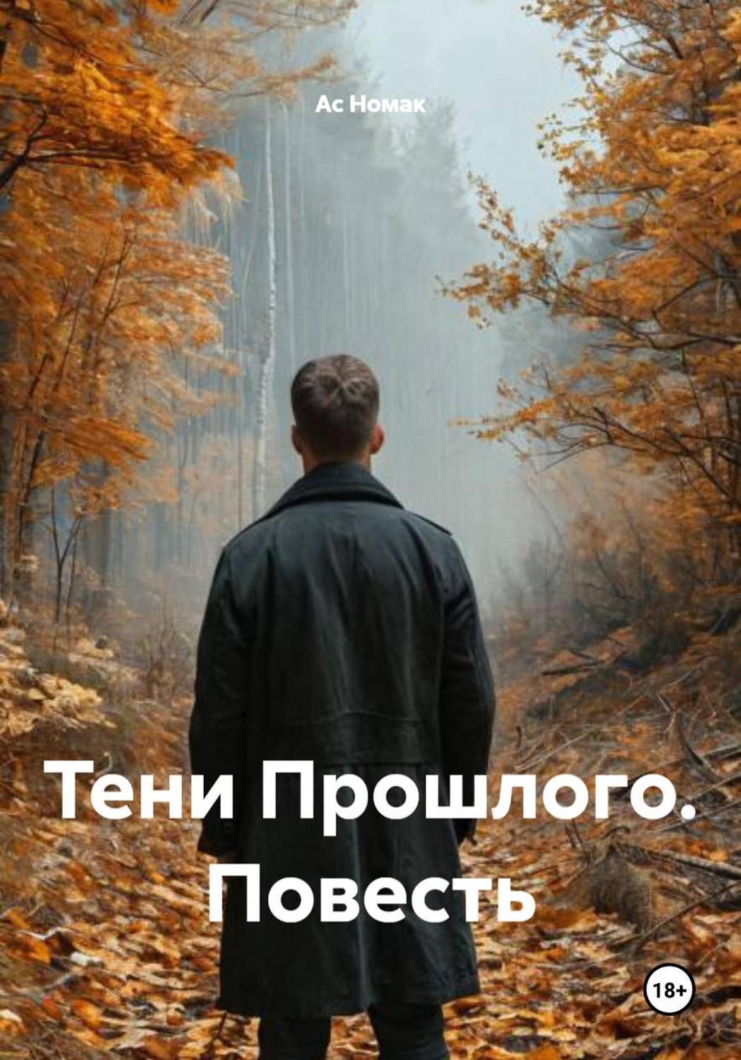 Обложка книги «Тени Прошлого. Повесть»