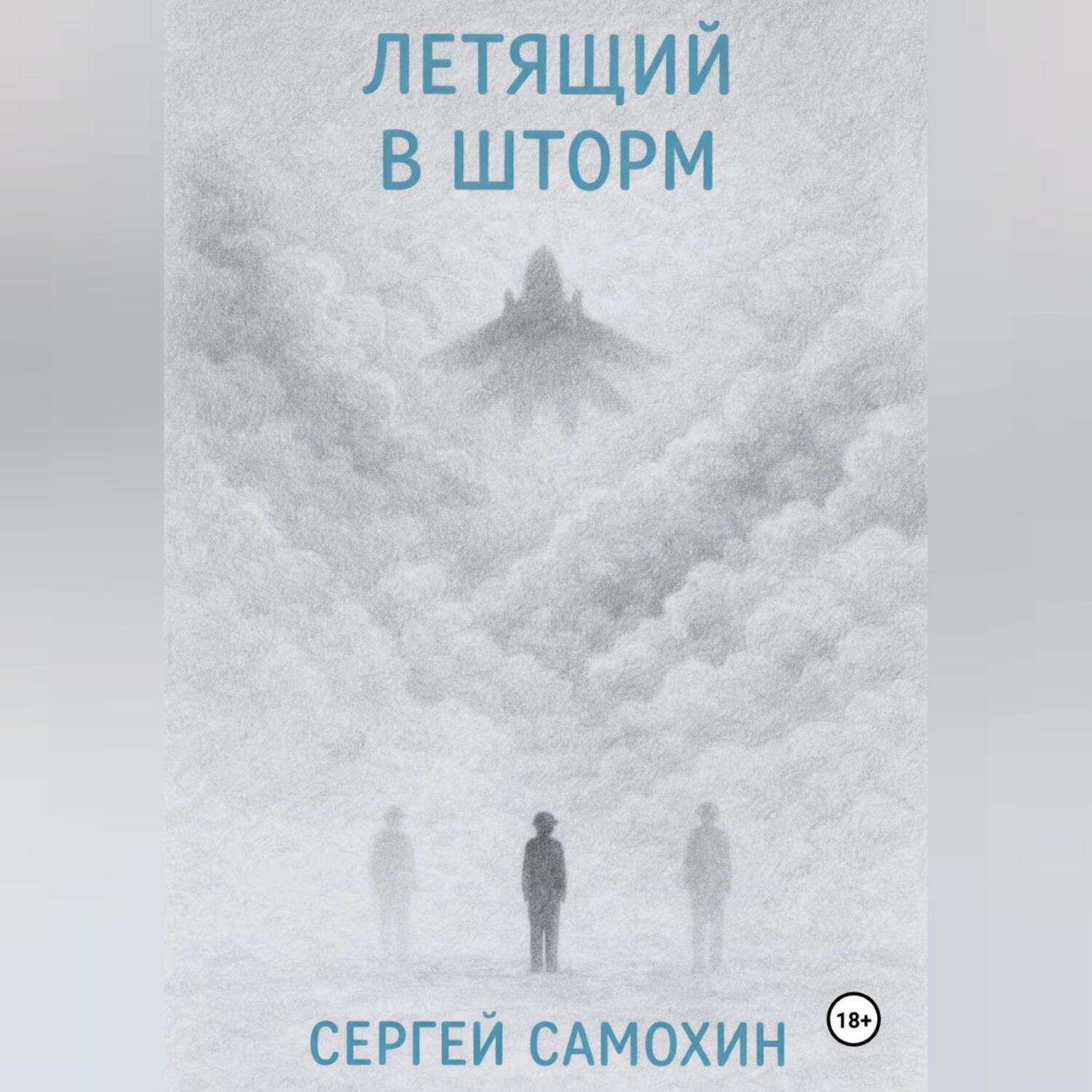 Обложка книги «Летящий в шторм»