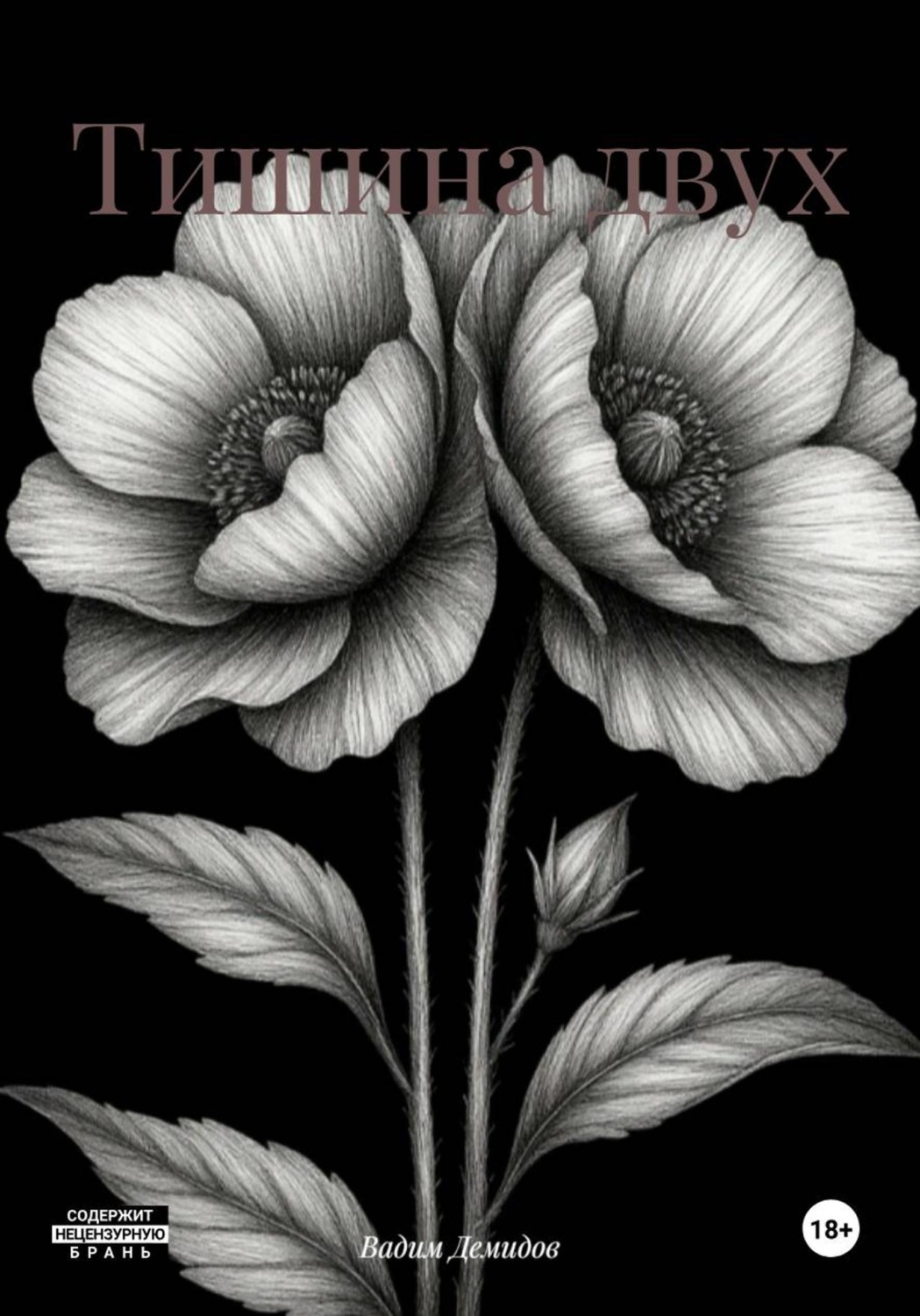 Обложка книги «Тишина двух»