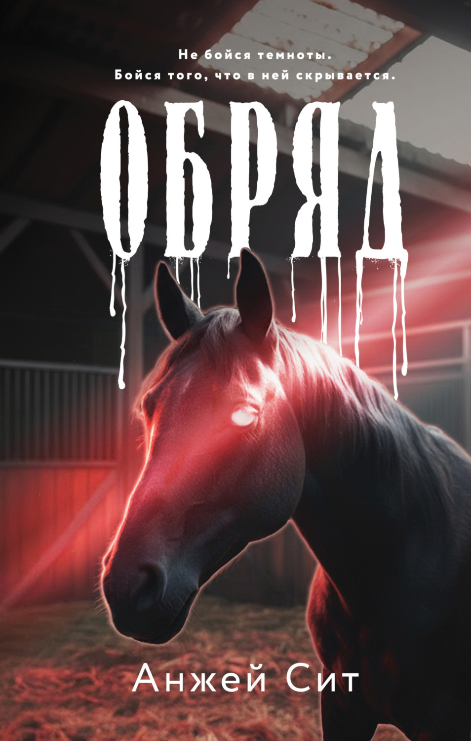 Обложка книги «Обряд»