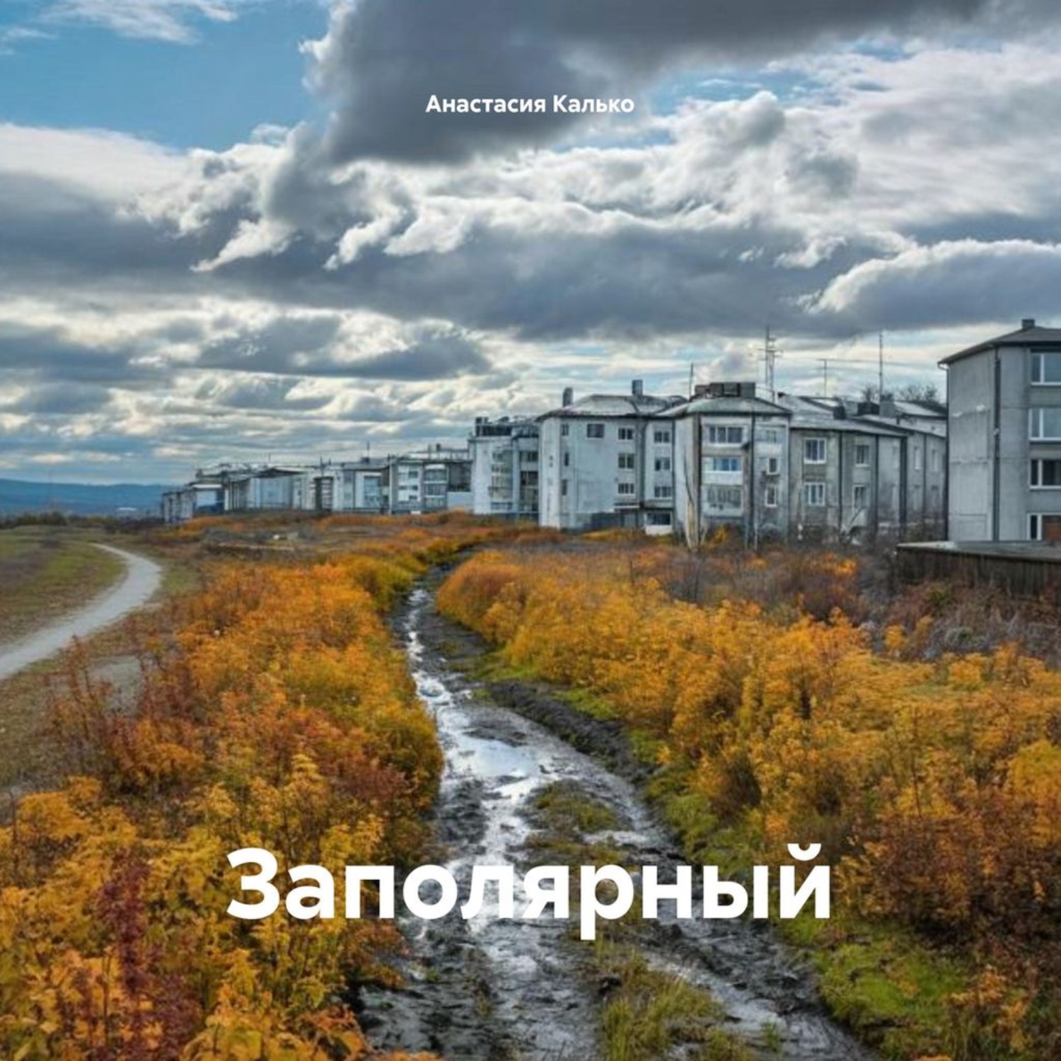 Обложка книги «Заполярный»