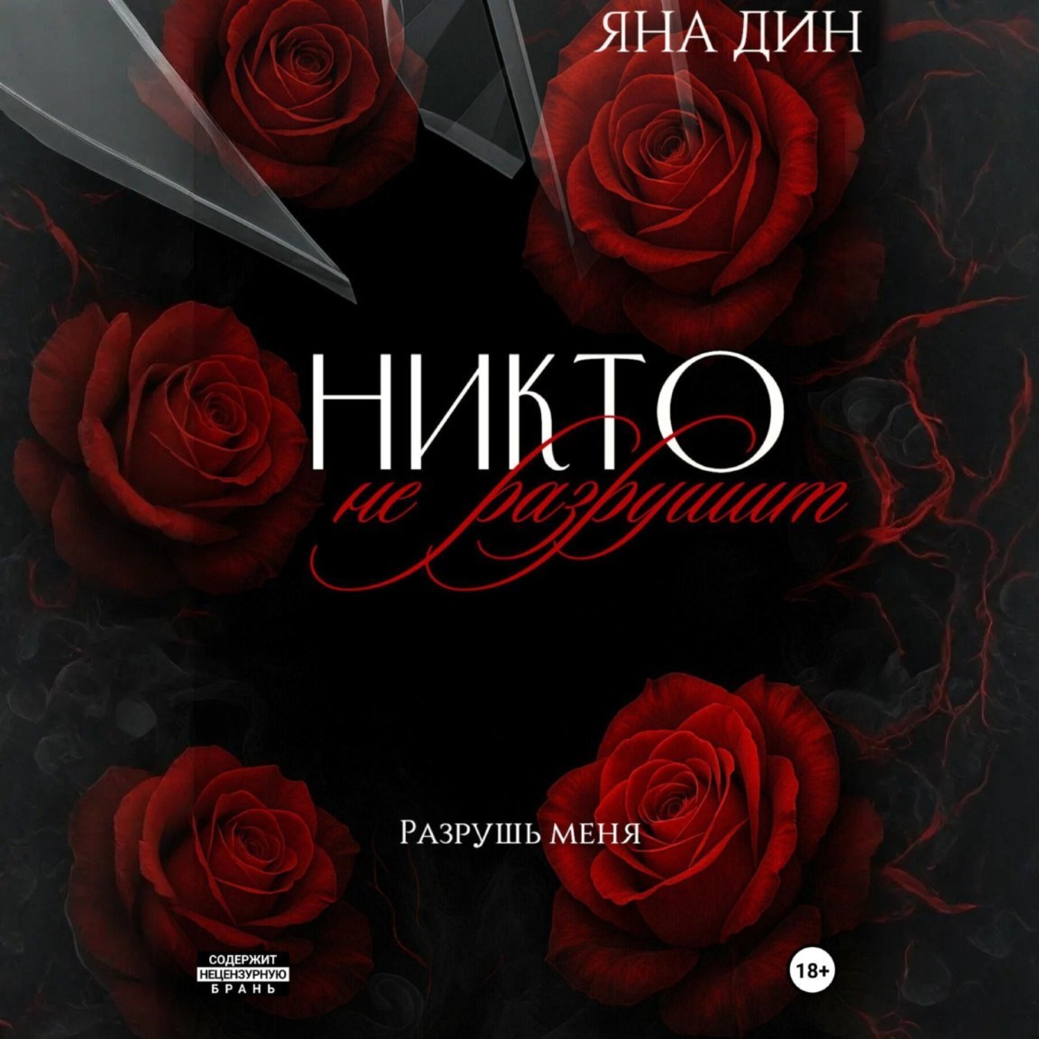 Обложка книги «Никто не разрушит»