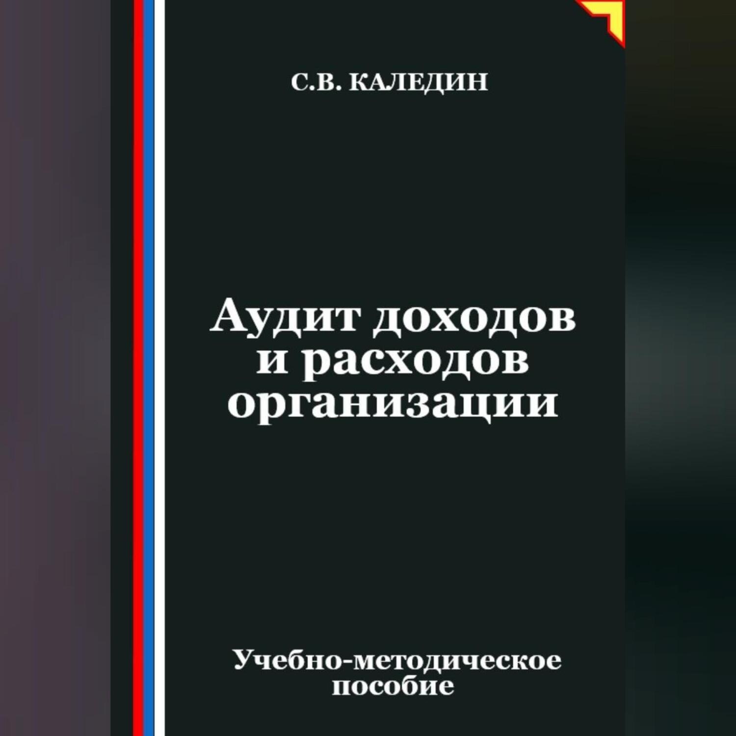 Обложка книги «Аудит доходов и расходов организации»