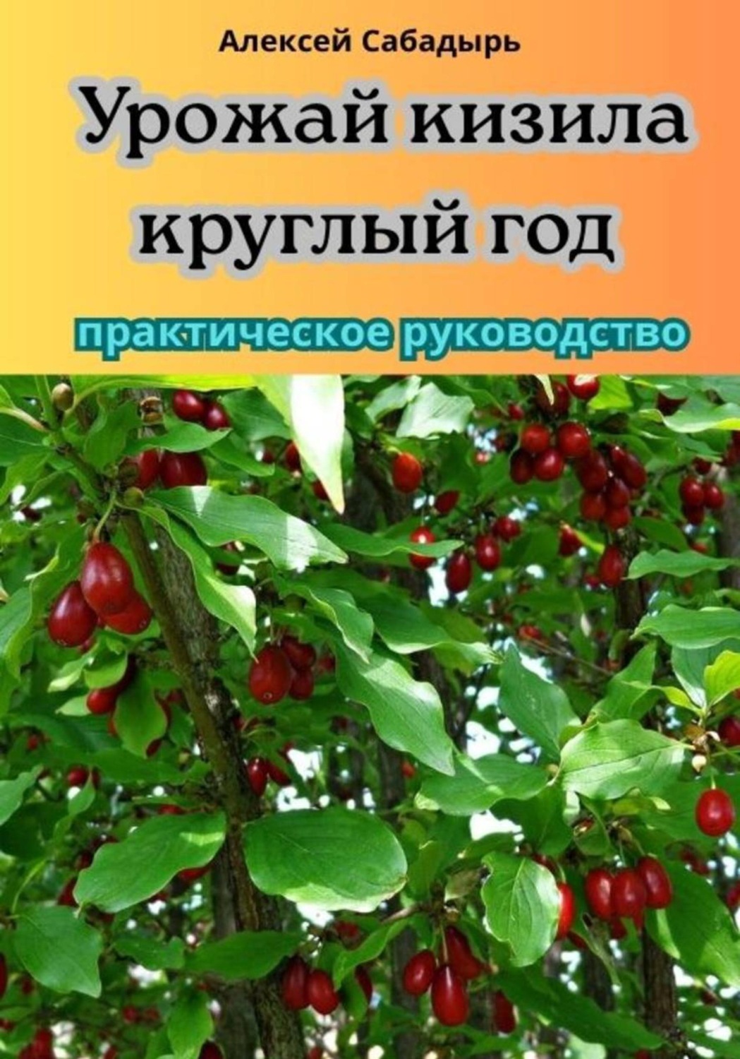 Обложка книги «Урожай кизила круглый год практическое руководство»