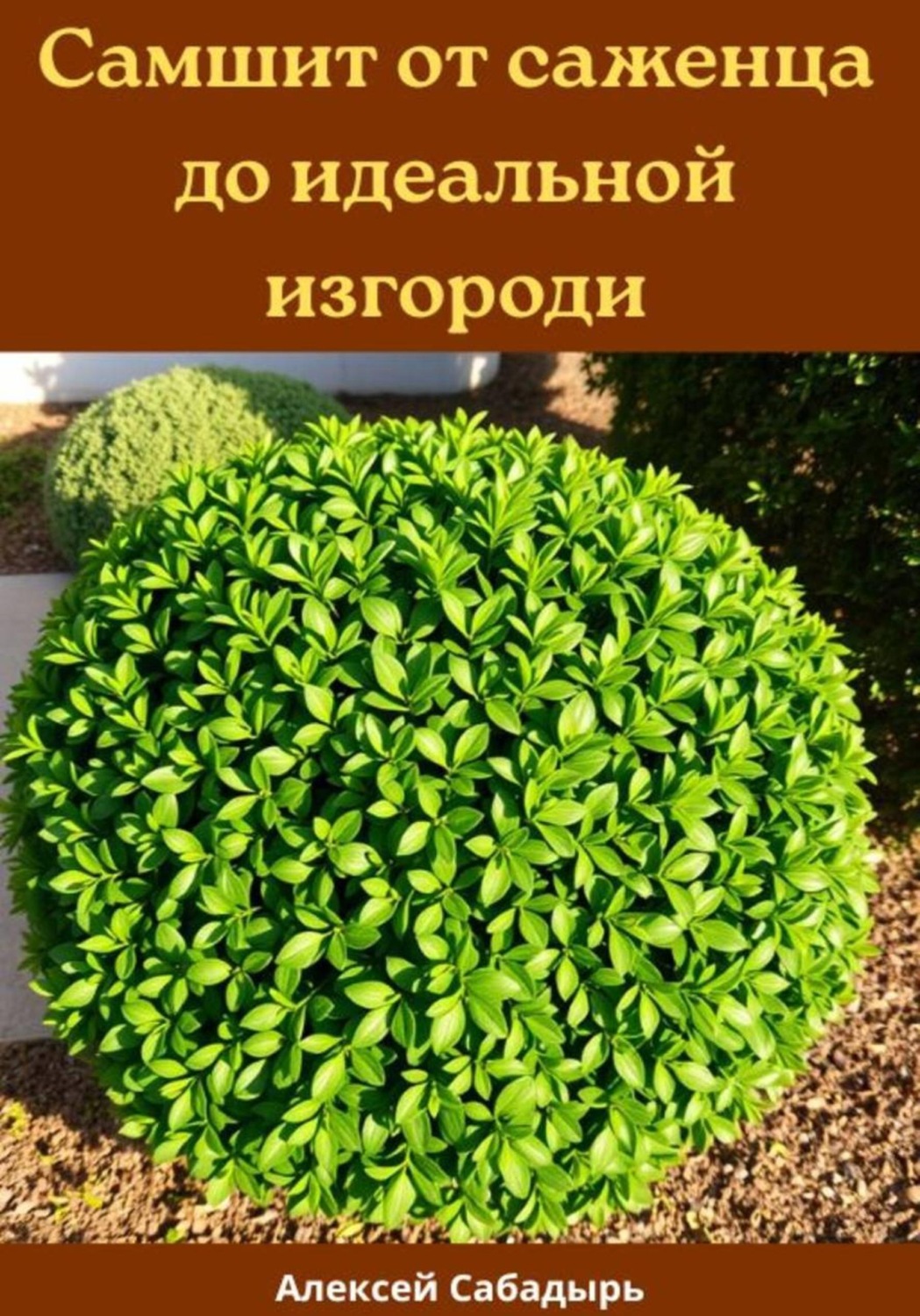 Обложка книги «Самшит от саженца до идеальной изгороди»