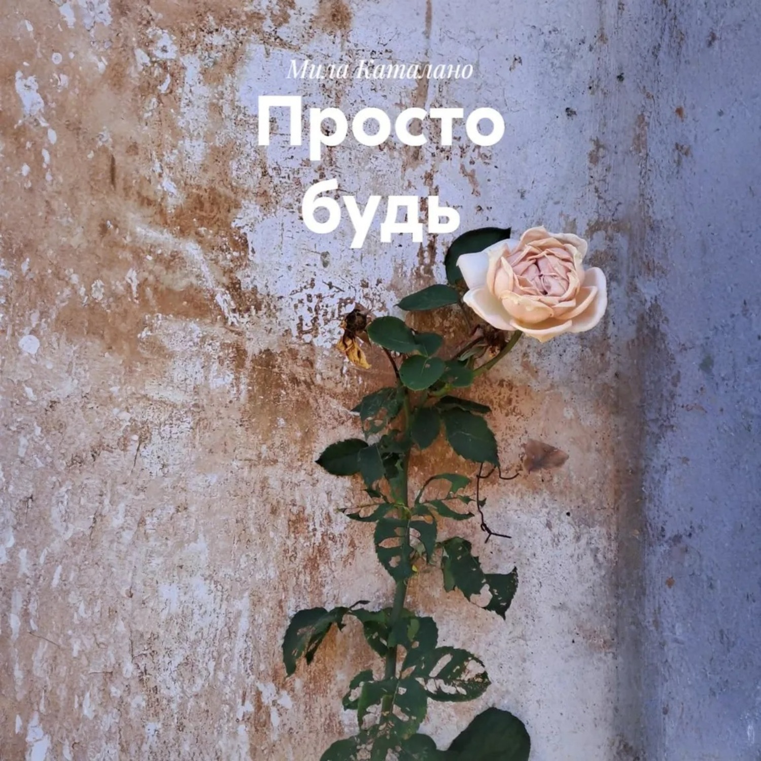 Обложка книги «Просто будь»