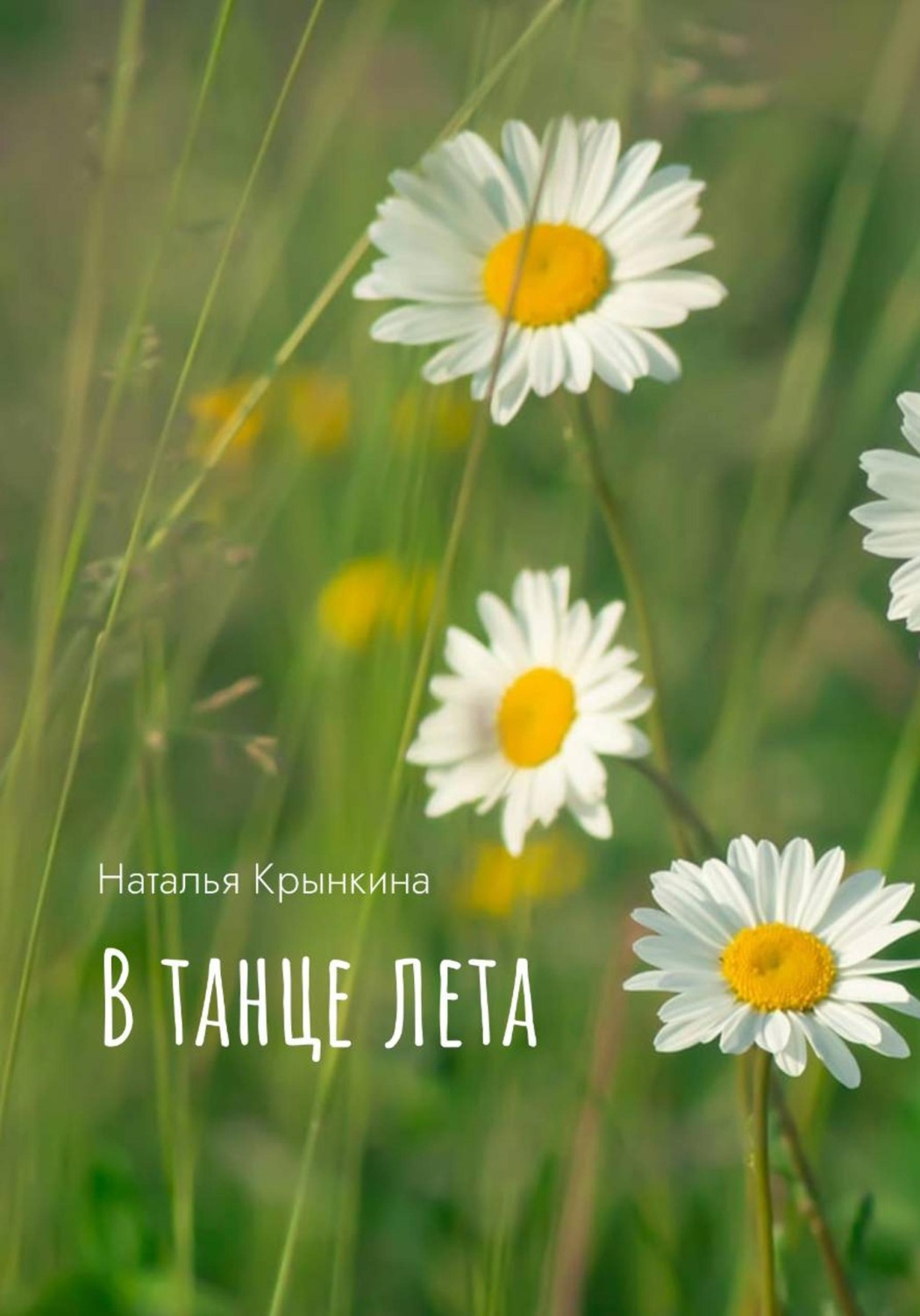 Обложка книги «В танце лета»