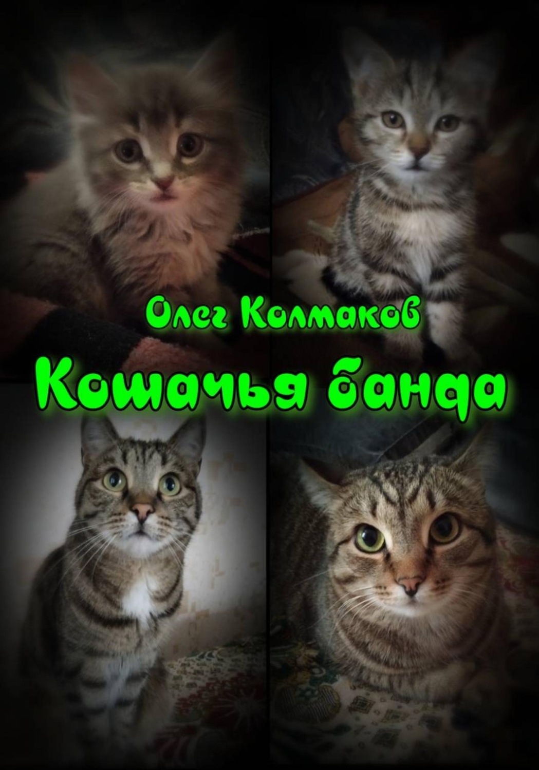 Обложка книги «Кошачья банда»