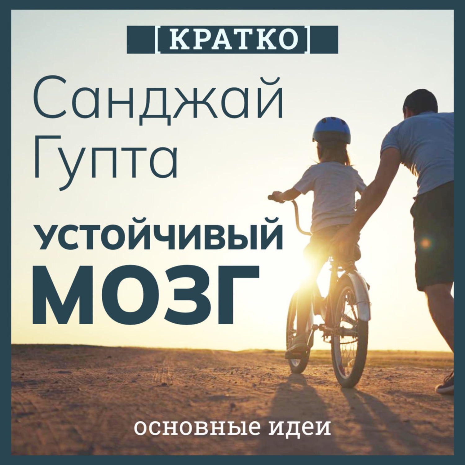 Обложка книги «Устойчивый мозг. Как сохранить мозг продуктивным в любом возрасте. Санджай Гупта. Кратко»
