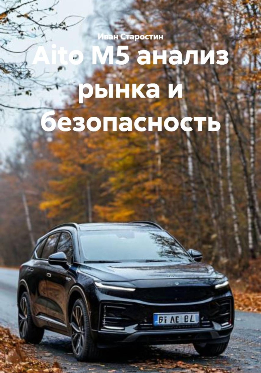 Обложка книги «Aito M5 анализ рынка и безопасность»