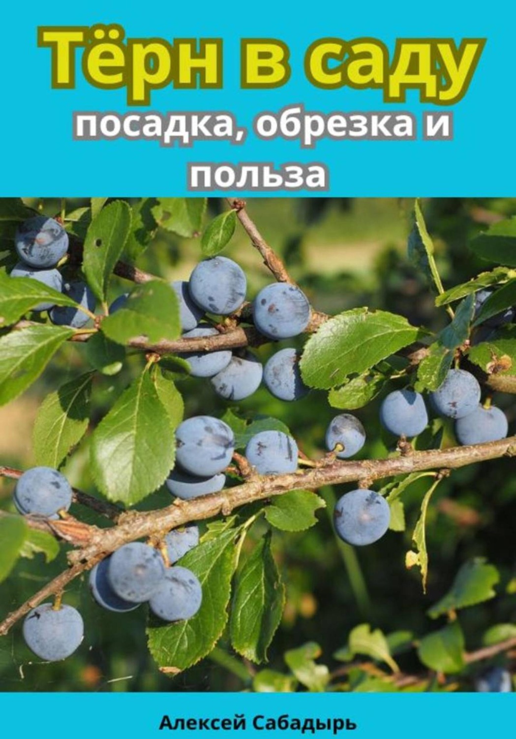 Обложка книги «Тёрн в саду посадка, обрезка и польза»