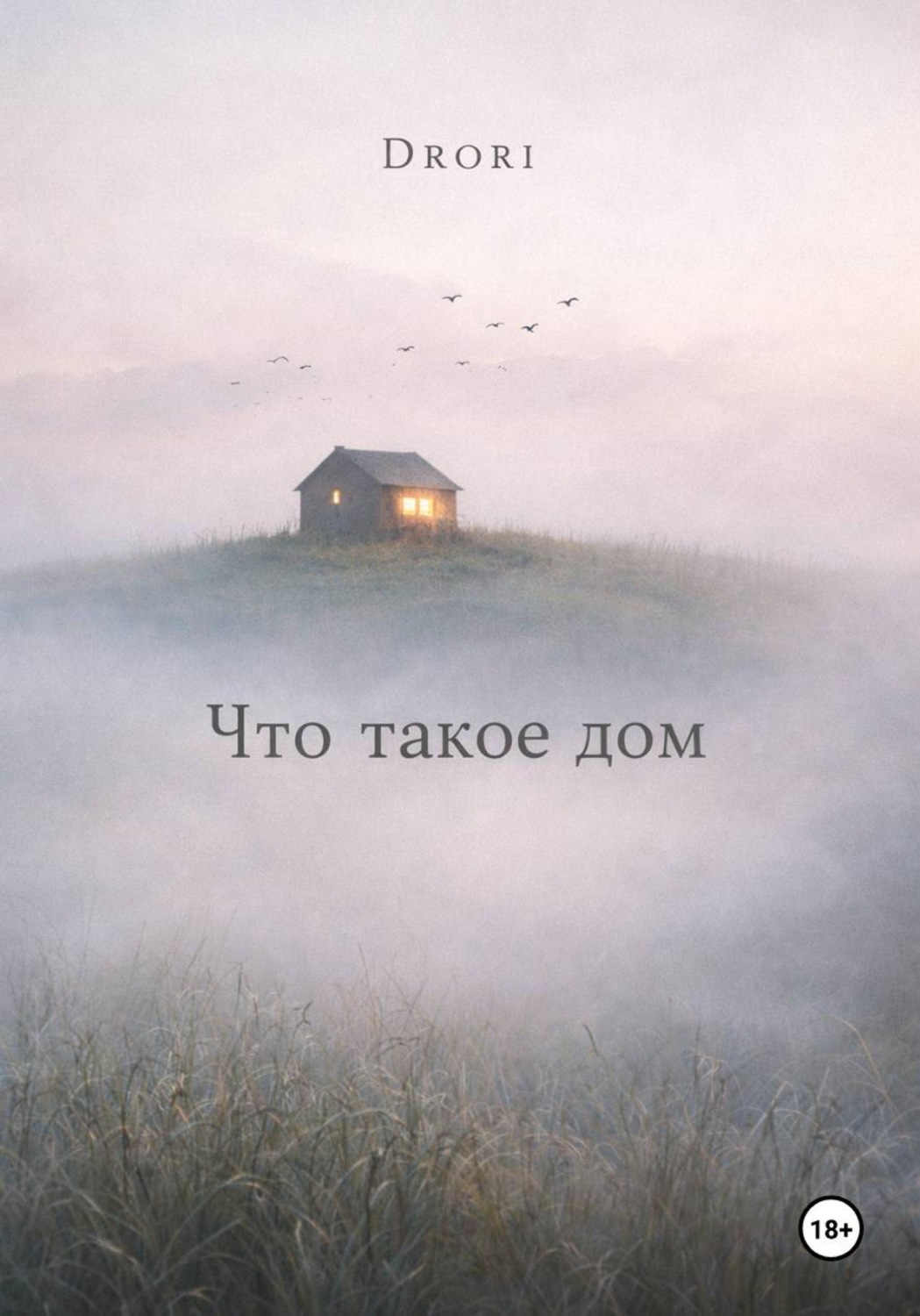 Обложка книги «Что такое дом?»