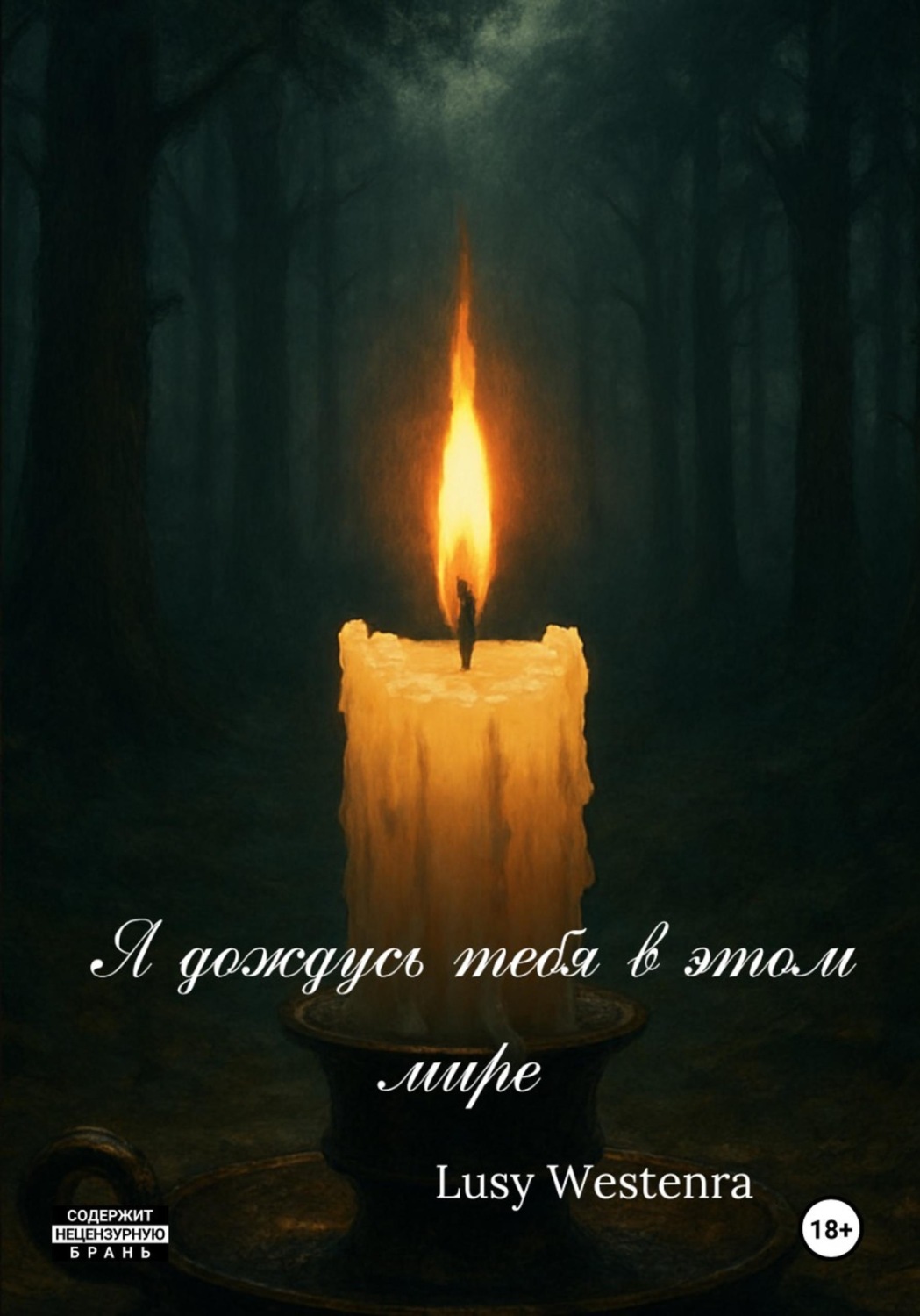 Обложка книги «Я дождусь тебя в этом мире»