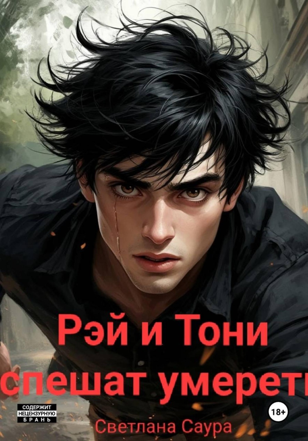 Обложка книги «Рей и Тони спешат умереть»