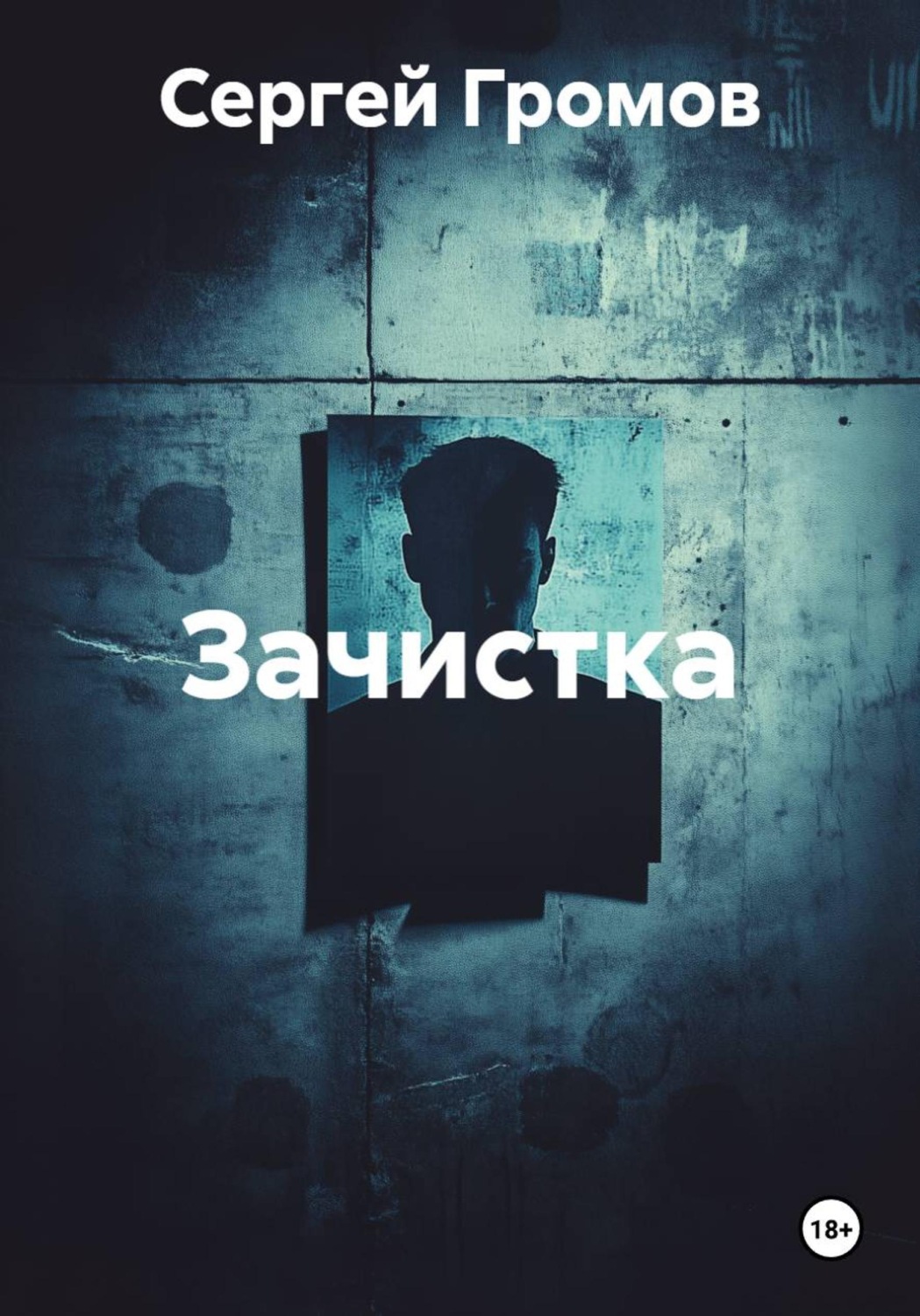 Обложка книги «Зачистка»