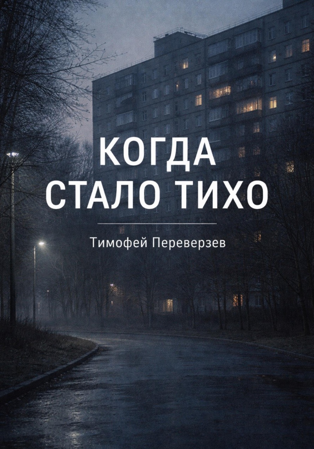 Обложка книги «Когда стало тихо»