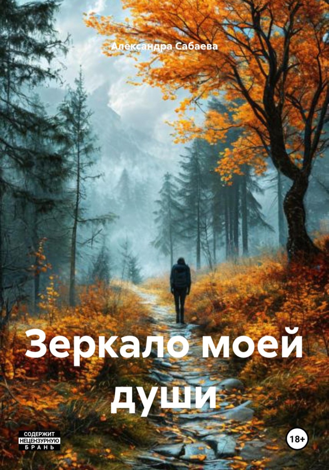 Обложка книги «Зеркало моей души»