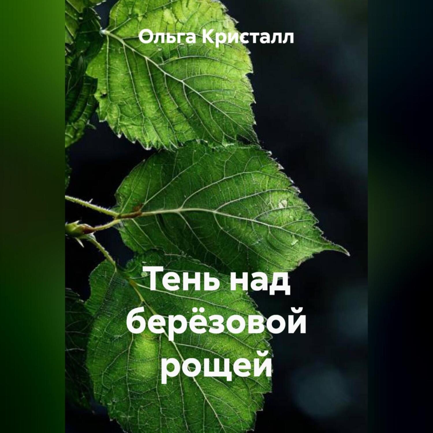 Обложка книги «Тень над берёзовой рощей»