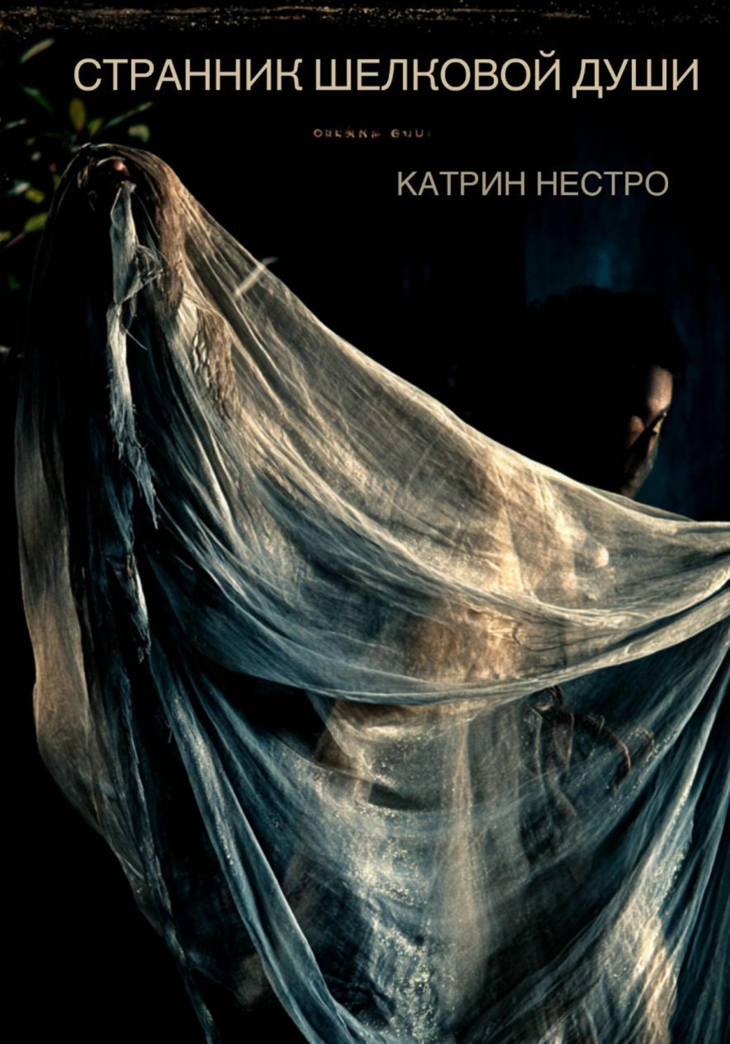 Обложка книги «Странник шелковой души»