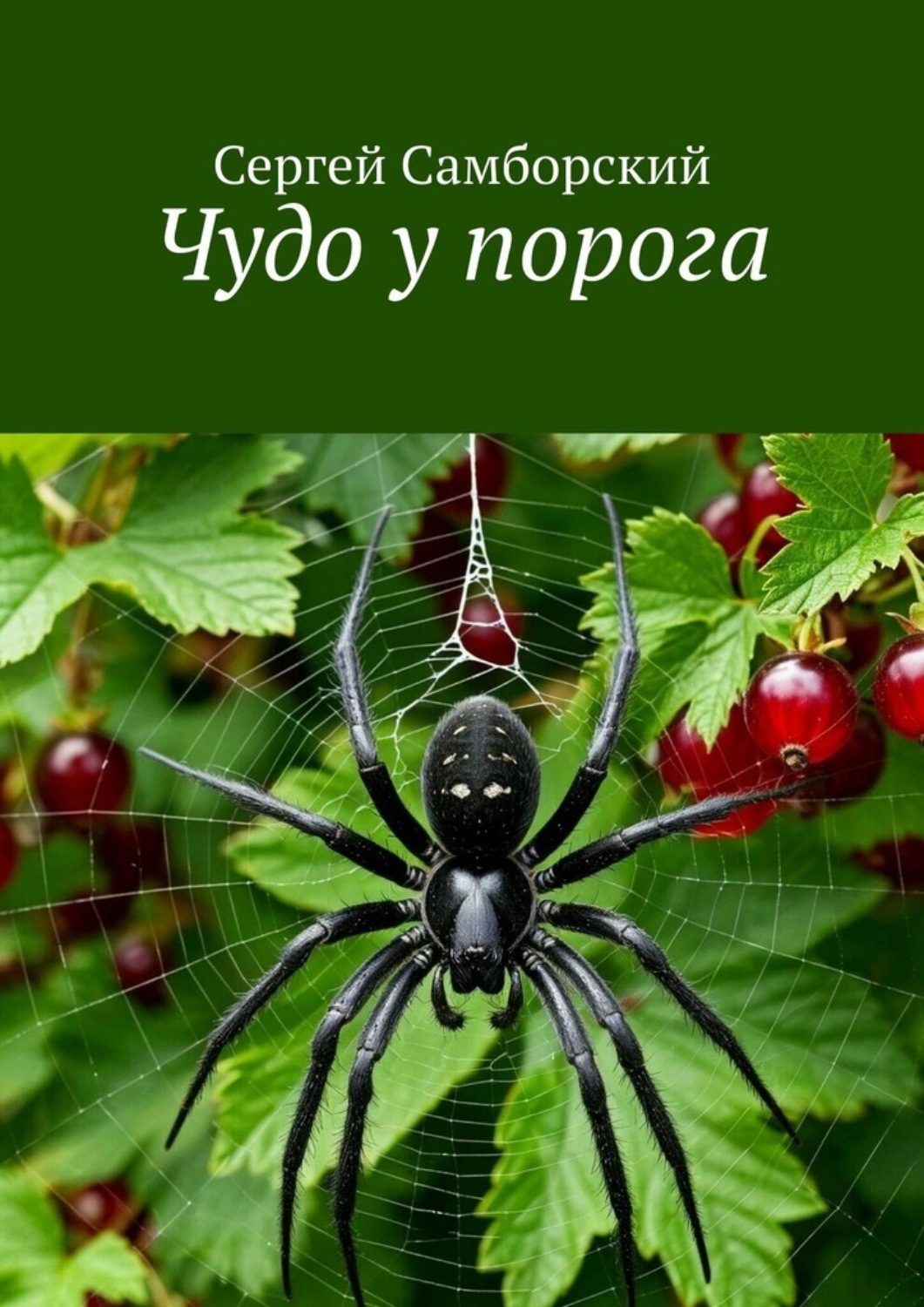 Обложка книги «Чудо у порога»