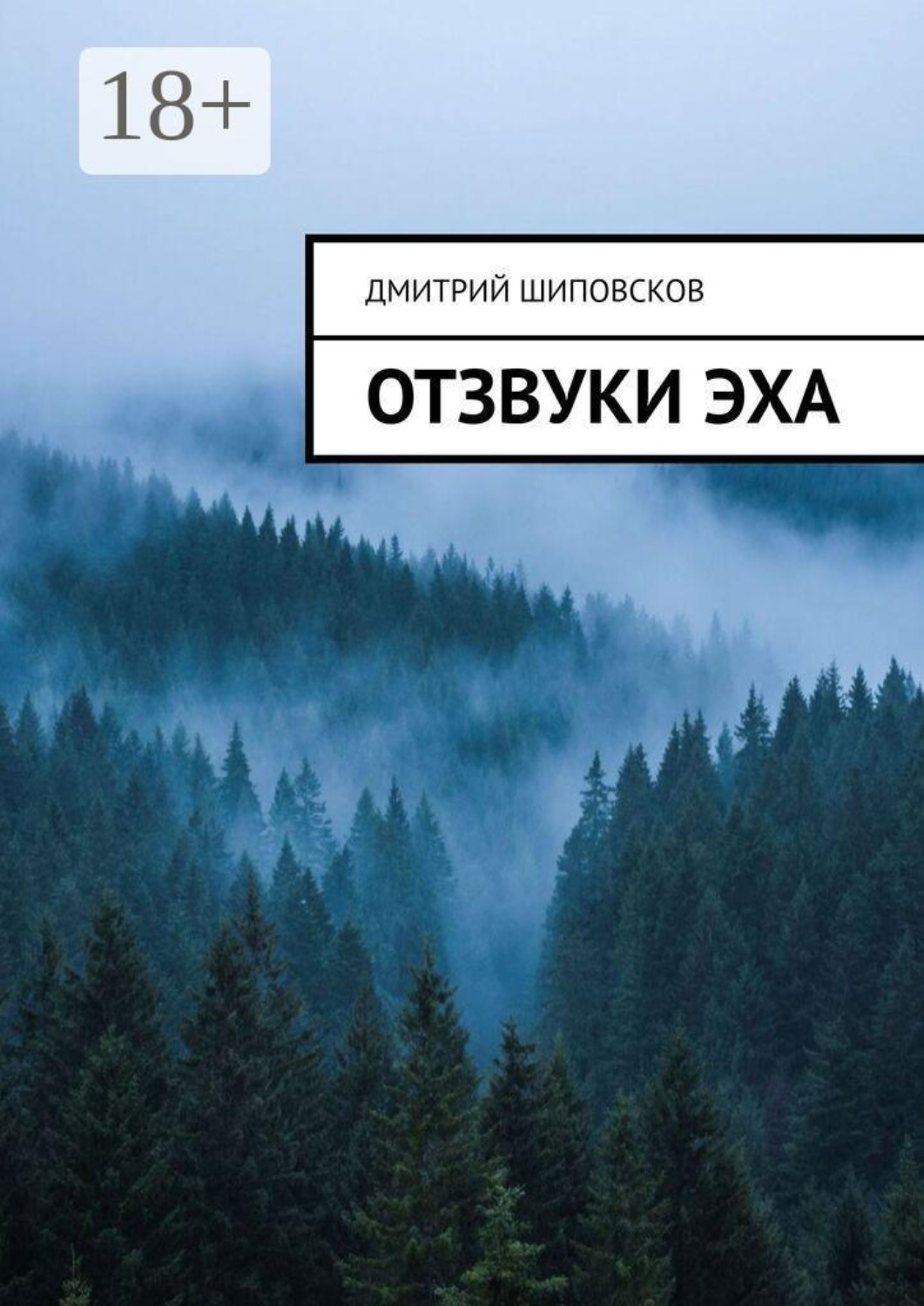 Обложка книги «Отзвуки эха»