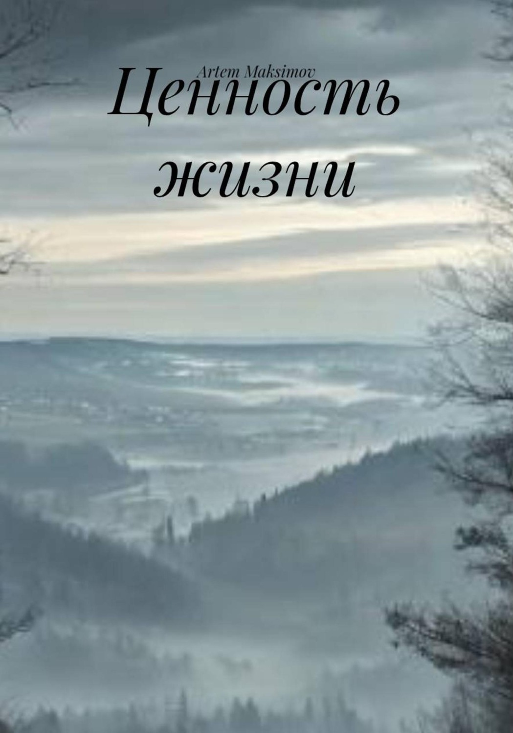 Обложка книги «Ценность жизни»