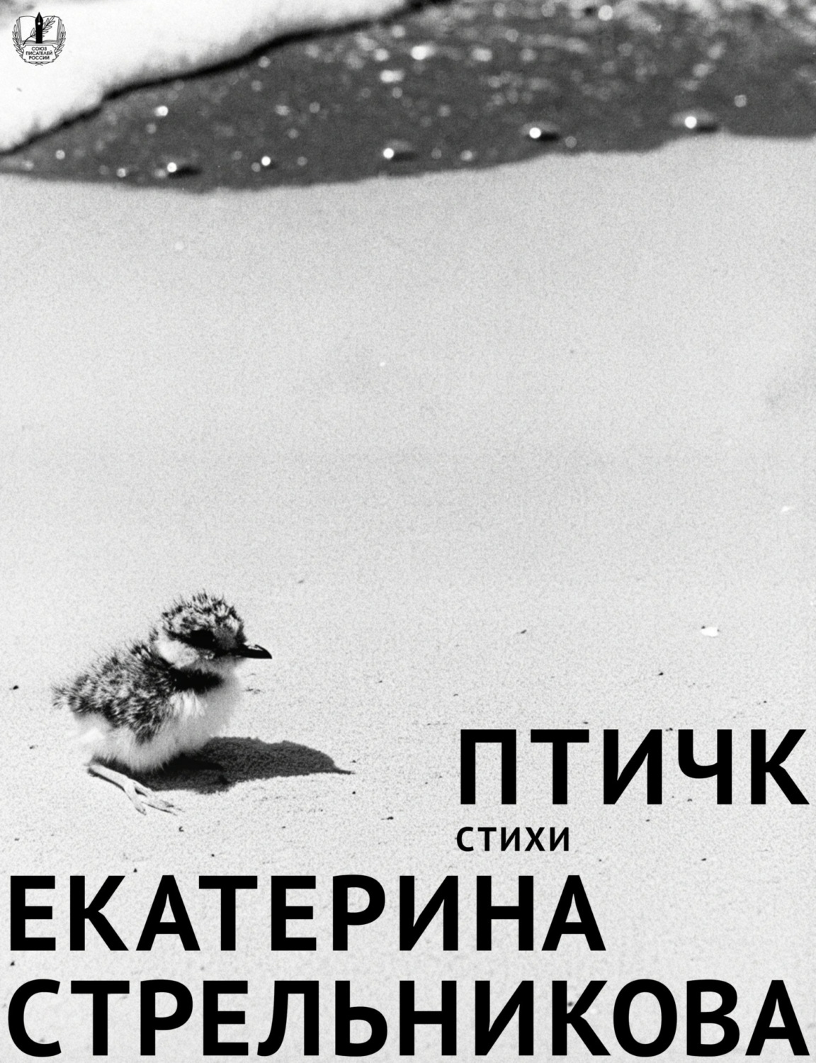 Обложка книги «Птичк»
